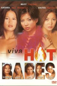 Viva Hotbabes Videoke Collection (2003)